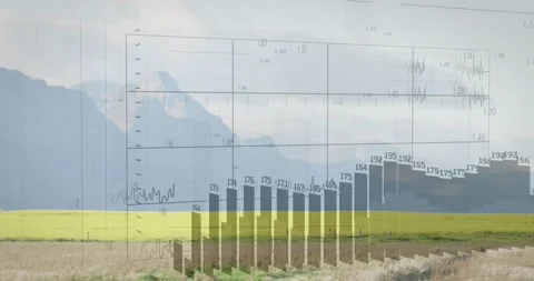 Grid fading in over yellow crop adding numeric axes tracing line and animating Stock Footage 317154547