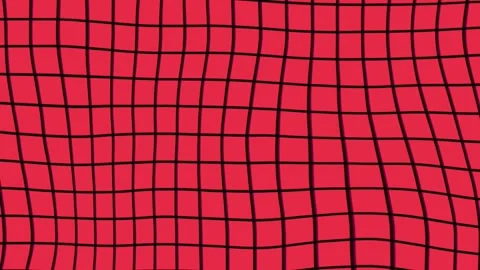 Grid Stock Footage 311574249