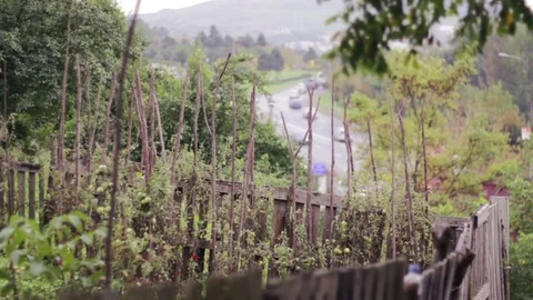 Off the Grid Gardening Video stock 73828034