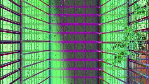 Grid glitchy multicolour footage Stock Footage 296005785