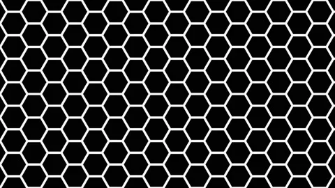 Grid of Hexagonal Hexagons Mask Beehive Hive Pattern 動画素材 140914666
