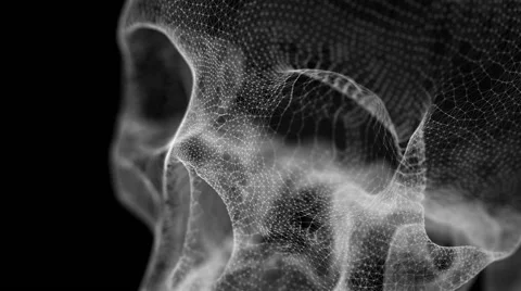 Grid of Human Skull Stock-Footage 58799855