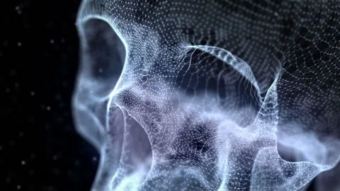 Grid of human skull Stock Footage 100644955