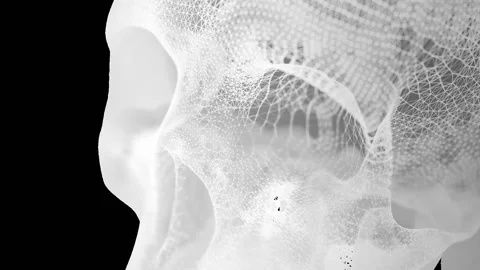 Grid of human skull Stock Footage 100645092
