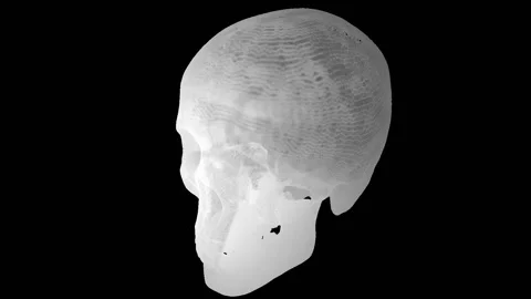 Grid of human skull Stock Footage 100645267