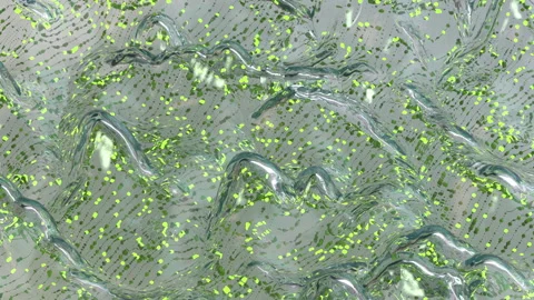 Grid landscape with connected dots seamless loop 3D render animation Stock Footage 219317338