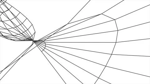 Grid net polygonal wireframe abstract drawing graphics illustration background Stock Illustration