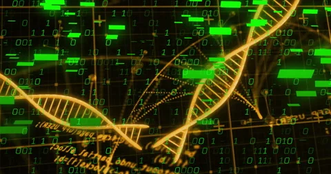 Grid opening, helix emerging and rotating, data bars floating, visualizing Stock Footage 313639975