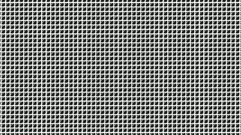 Grid Pattern Animation with Fine White Lines on a Dark Background Stock Footage 340899359