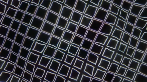 Grid pattern with bright lines on dark background Stock Footage 339974764