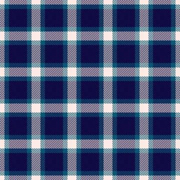 Grid pattern seamless vector, carpet textile fabric background. Mother tart.. Stock Illustration