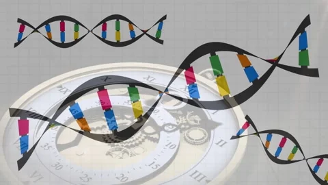 Grid rising stylized DNA helices undulating and rotating over clock face showing Stock Footage 317228323