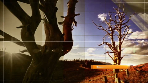 Grid Slide Show Стоковые After Effects