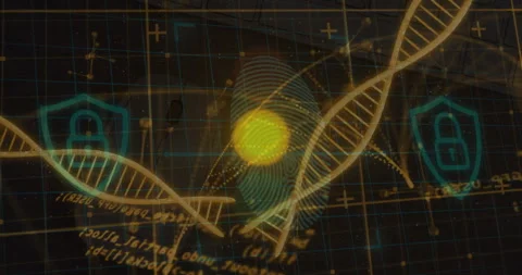 Grid starting scanning dot climbing fingerprint and linking DNA helix for secure Stock Footage 311663588