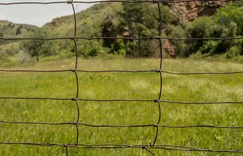 Grid Of Wire Fence Forms The Border of Wind Cave 写真素材