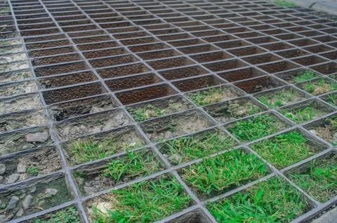 Gridded metal surface with squares showing soil and green grass, creating a.. Stock Photos