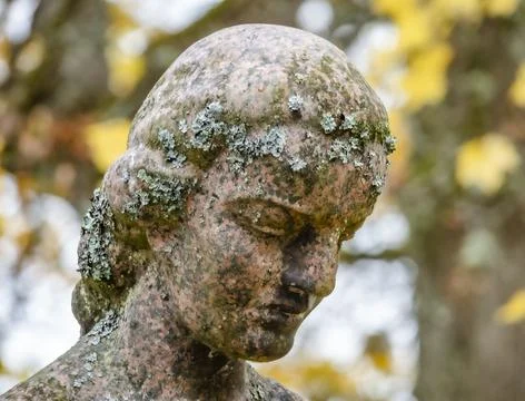Grief Stock Photos