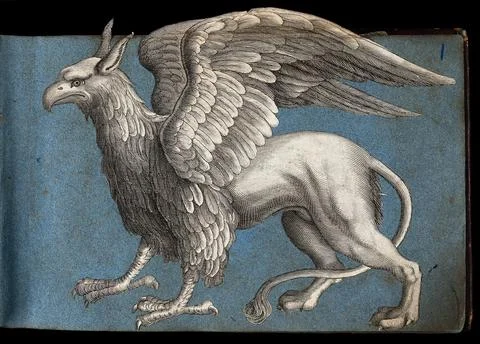 A griffen: side view of the mythical beast. Cut-out engraving pasted onto p.. Stock Illustration