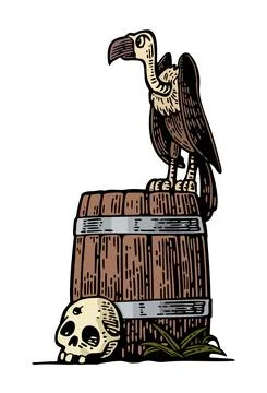Griffin sitting on barrel with skull. Vector color hand drawn vintage engravi Stock Illustration