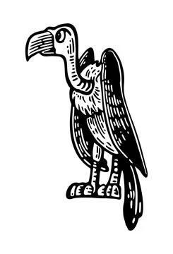 Griffin sitting on stone. Vector black hand drawn vintage engraving Stock-Illustration