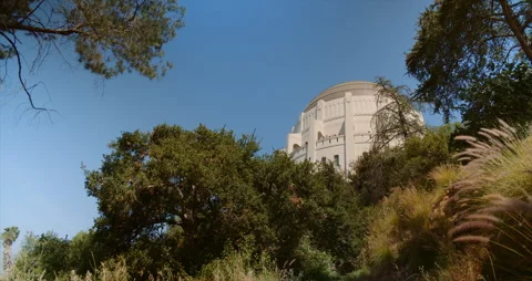 Griffith Observatory surrounded by trees in Los Angeles Stock Footage 342728849