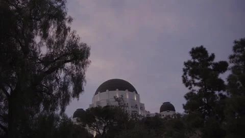 Griffith Observatory Through Trees With Blur to Sharp Focus Pull Stock Footage 333223288