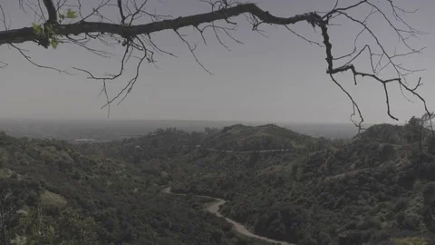 Griffith Park Mountain View, Los Angeles Stock Footage 73813376
