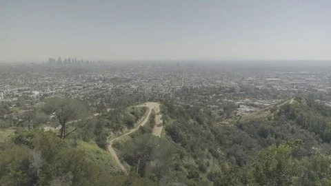 Griffith Park Path and City, Los Angeles Stock Footage 73813051