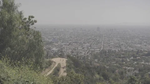 Griffith Park Path, People, Los Angeles City Stock Footage 73813272