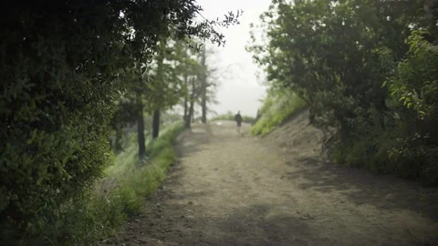Griffith Park Walking Trail Soft Focus Vídeo Stock 136629680