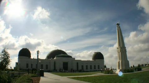 GriffithFluffy1-17 Stock Footage 629626