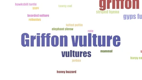Griffon Vulture Tag Cloud Animated Isolated On White Stock Footage 103673409