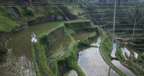Gril Walking Edge of Bali Rice Terraces Drone Shot Stock Footage 106787629