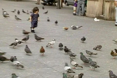 Gril&amp;brud's Stock Footage 292986