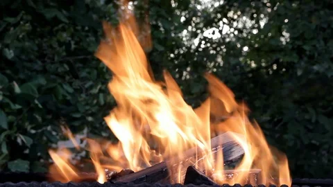 In the grill burn firewood Stock Footage 113231837