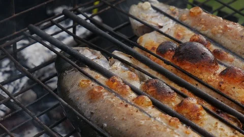 Grill fish burning fire in barbecue grill Stock Footage 117223787
