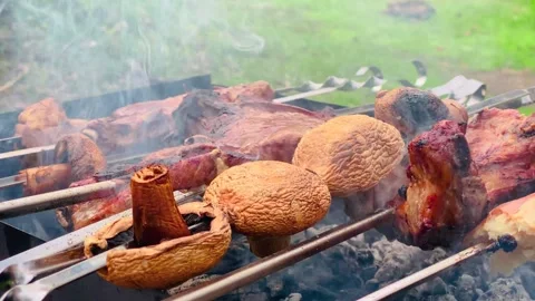 Grill in focus, barbecuing chicken and meat, stylized smoke twisting, rack of Stock Footage 274930663