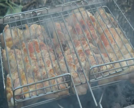 Grill Stock Footage 11255762