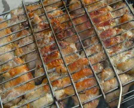 Grill Stock Footage 11255983