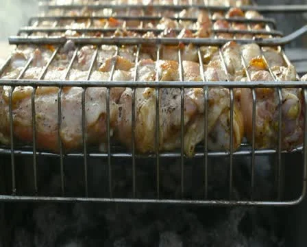 Grill 스톡 동영상 11256234