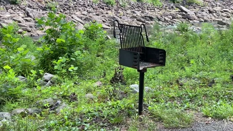 Grill Stock Footage 203898889