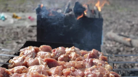 In the Grill Fried Delicious Kebabs Stock Footage 62416959