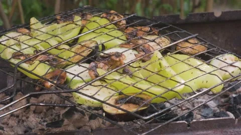 Grill for frying vegetables on coals. Stock Footage 199586226