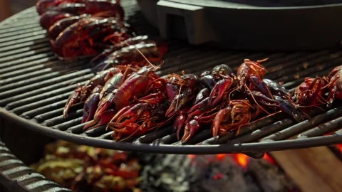 Grill full of crayfish cooking over an open fire. Crayfish arranged on grill Stock Footage 280913520
