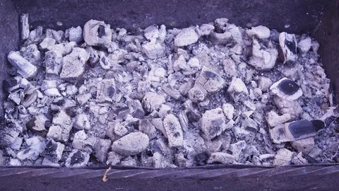 Grill from langoustines 5 Video stock 88559552