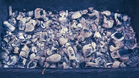 Grill from langoustines 6 Video stock 88559219