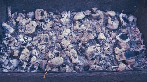 Grill from langoustines 7 Video stock 88559402