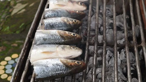 Grill the milkfis (1) Video stock 307002276