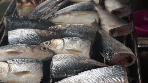 Grill the milkfis (2) Video stock 307002278