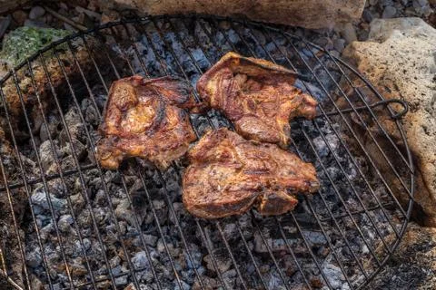 Grill in nature Stock-Fotos